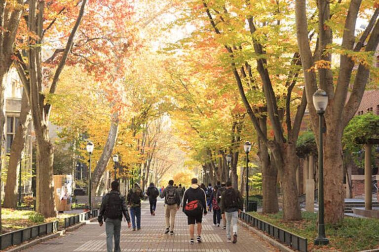 Greek life in colleges comes at a cost