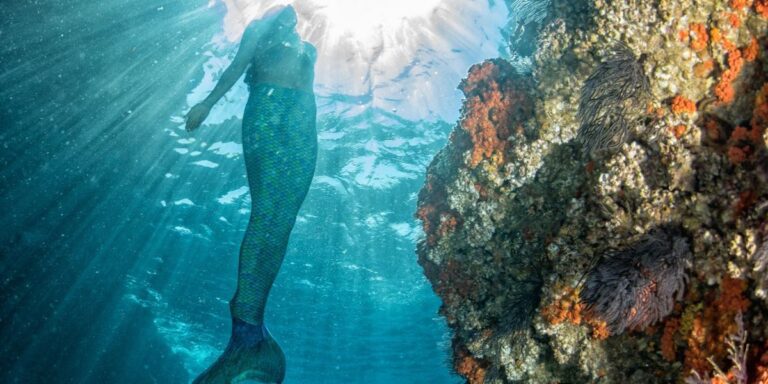 White people don’t own mermaids