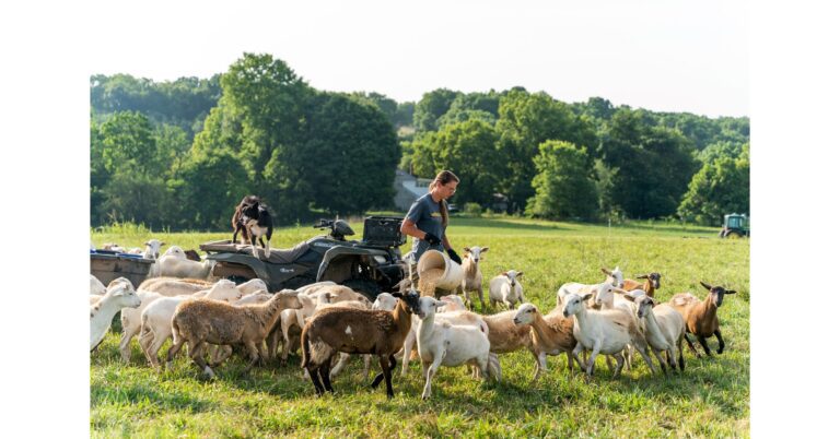 Rural entrepreneurs face opportunities and obstacles