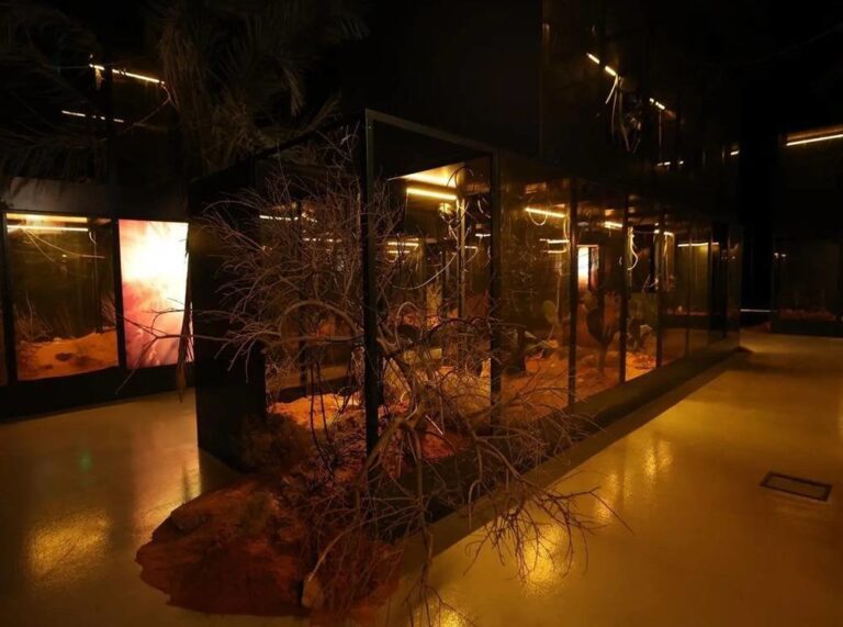 Bienalsur opens its doors to the Museum of Contemporary Art of Saudi Arabia in Jax