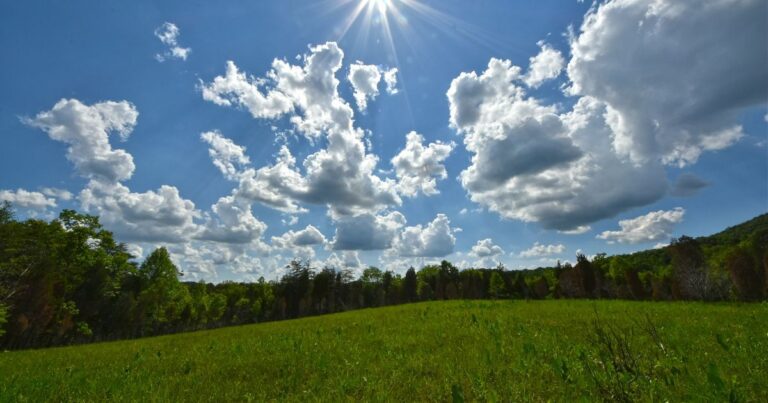 7 songs about climate change and the environment