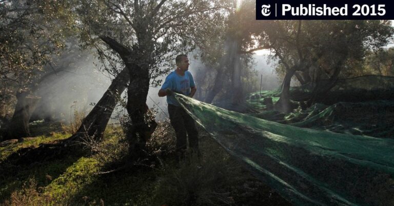 US importers and Greek suppliers blocked by cash controls