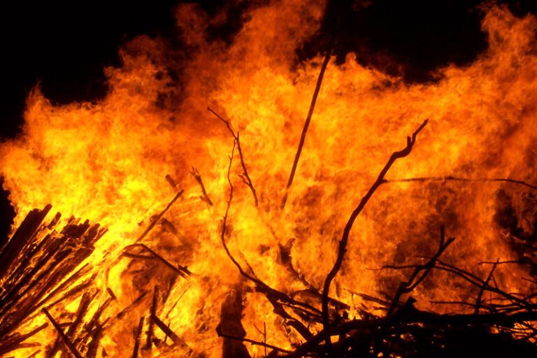 Tornos News |  Minister thanks 22 country ambassadors who helped Greece fight forest fires in summer